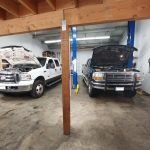 Two Ford Trucks with Hoods Up